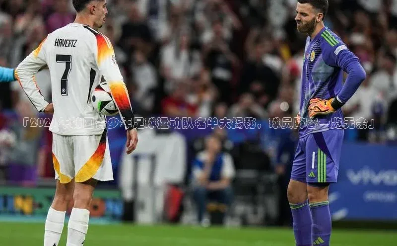 意昂体育4代理赛富乐斯