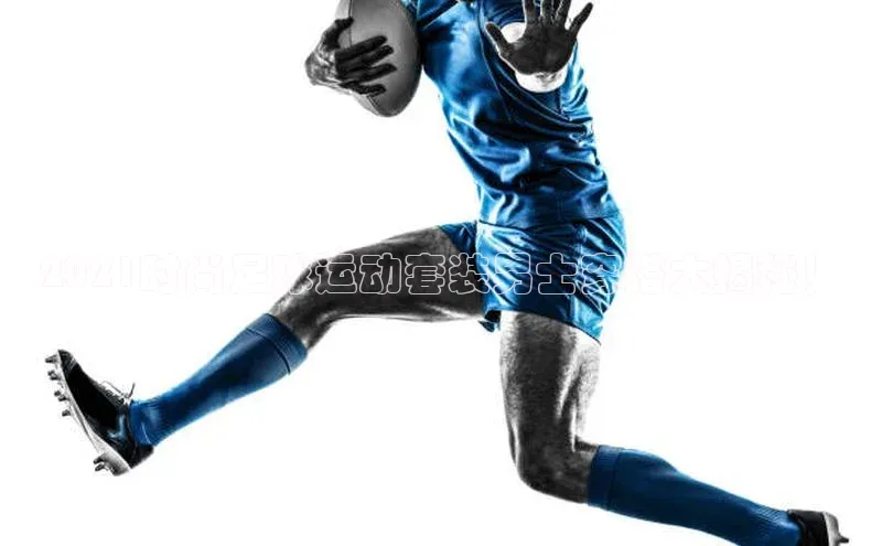 意昂体育4代理赛富乐斯