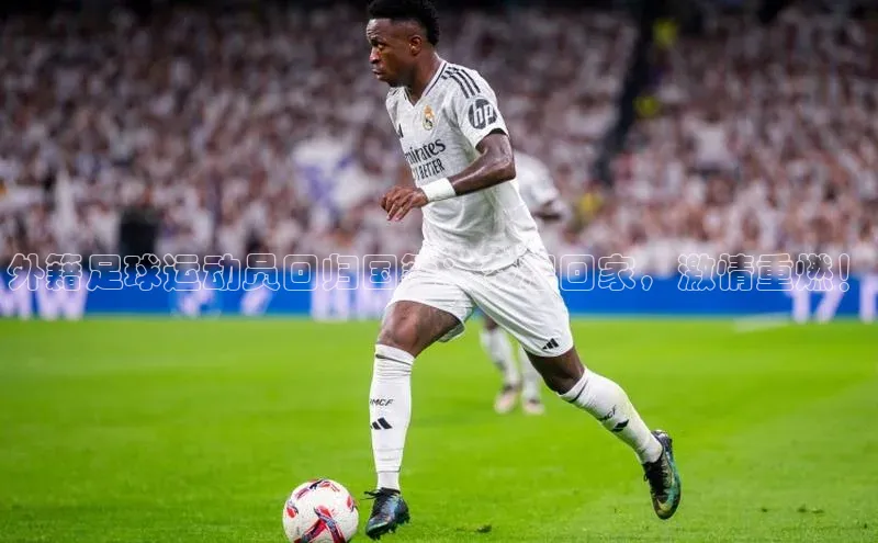 意昂体育4代理赛富乐斯