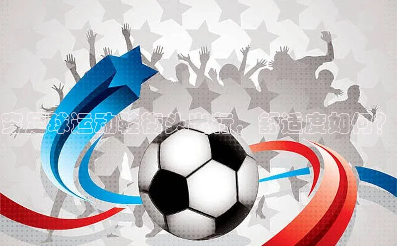 意昂体育4官网挪威主权基金