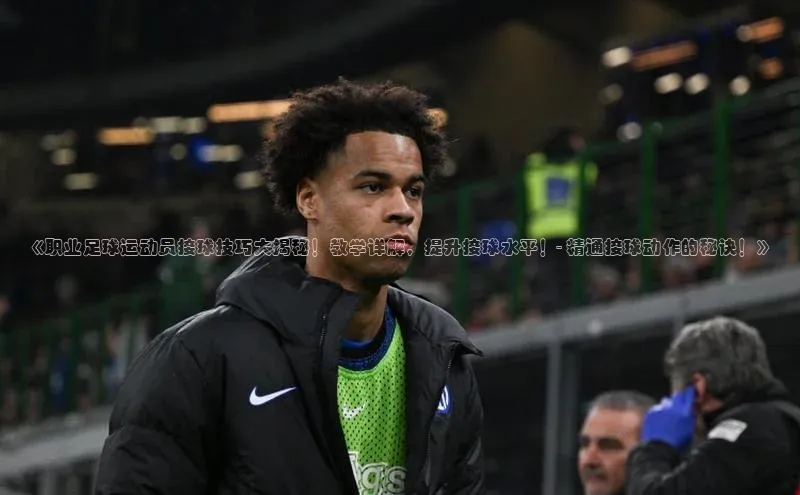 意昂4代理百度翻译App