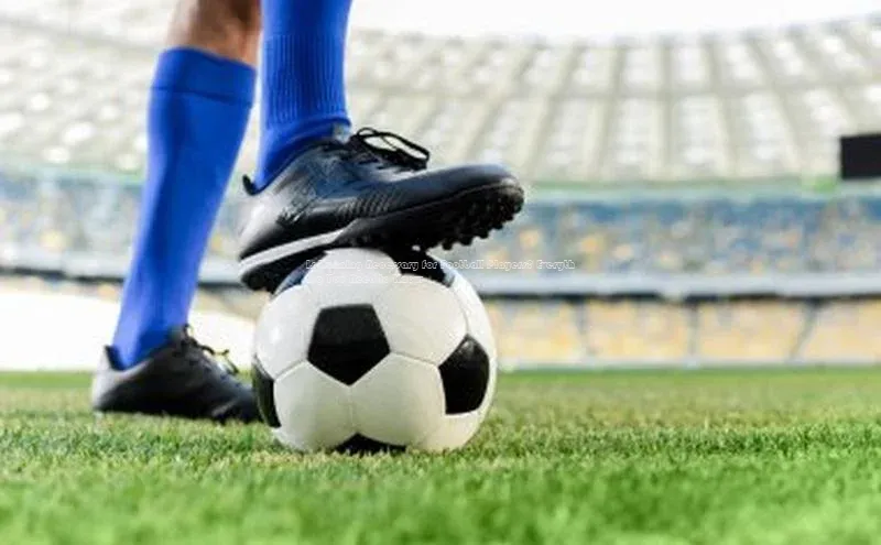 意昂4官网每日互动