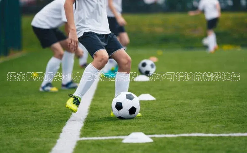 EON体育4登录金山办公