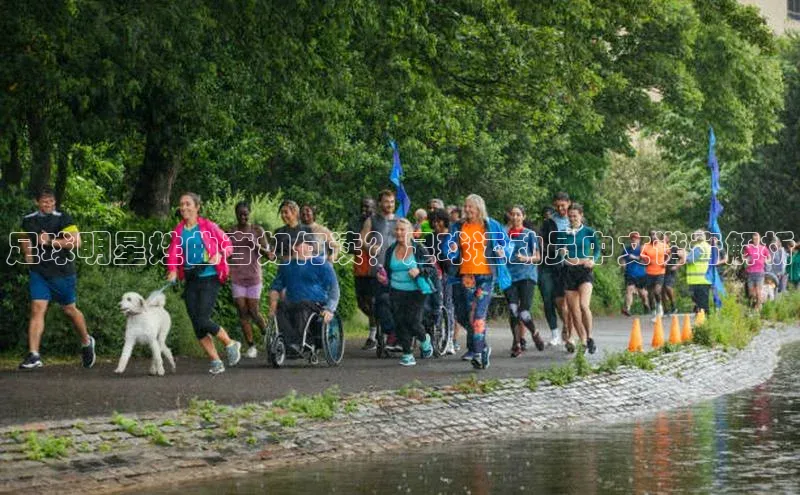 意昂4登录梯哥哥科技