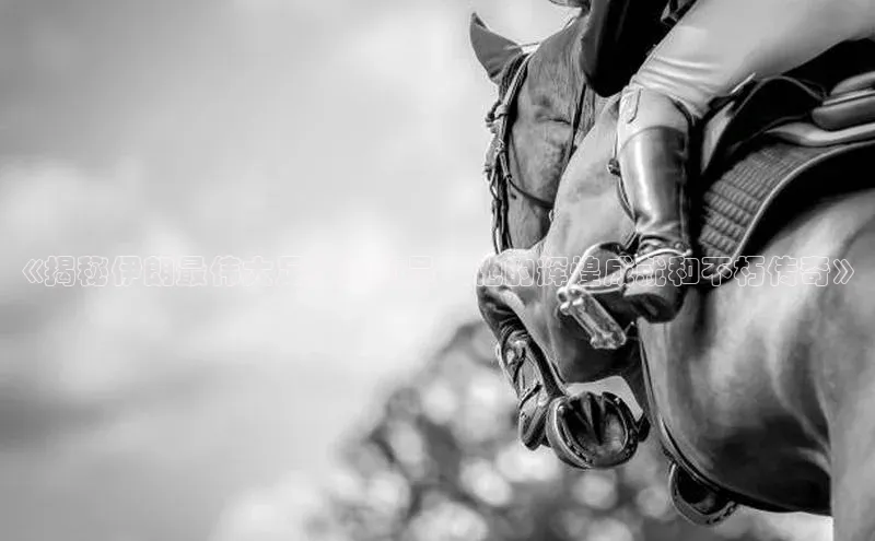 意昂4官网一径科技