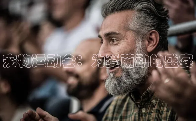 意昂体育app网页版登录入口